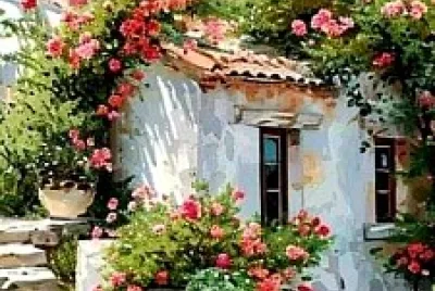 Flores