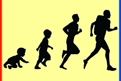 Evolution