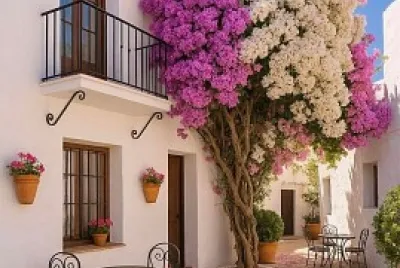 Bouganvillas jigsaw puzzle