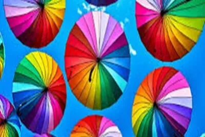 Colores