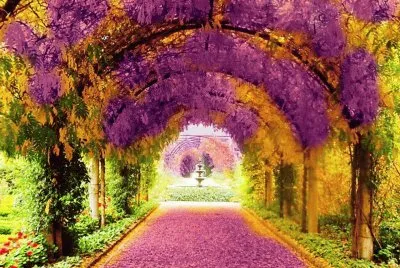Passionate Feeling Walkway