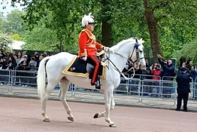 VE Day 80th Anniversary Military Procession