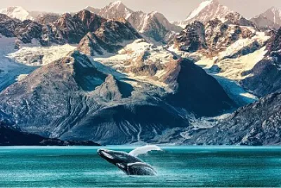 Calafate