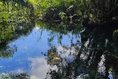 Manantial Guayaney, Manatí, PR