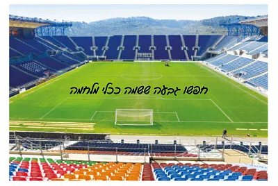 טדי