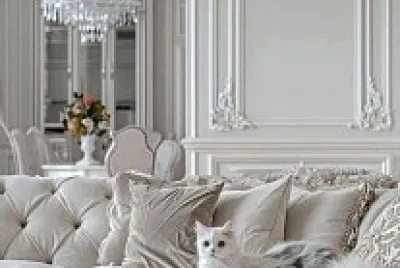 Gato