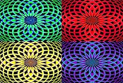 draw