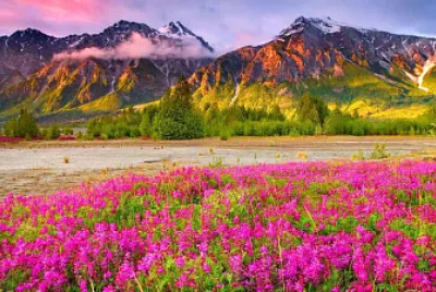 Ejercitar la memoria y la inteligencia