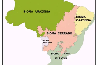 Biomas brasileiros jigsaw puzzle
