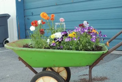 Floral Wheelbarrow