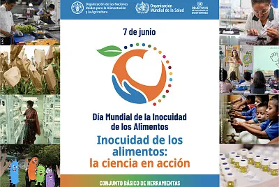 inocuidad jigsaw puzzle