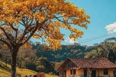 sítio