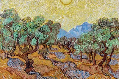 Olive Trees (1889)