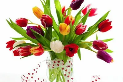 flores