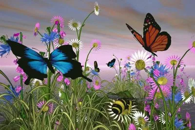 mariposas