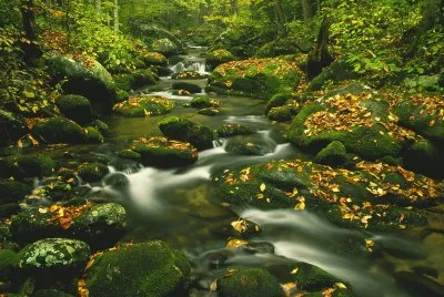 rio hermoso en primavera