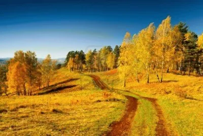 hermoso paisaje en otoÃ±o