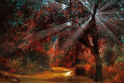 hojas rojas en otoÃ±o