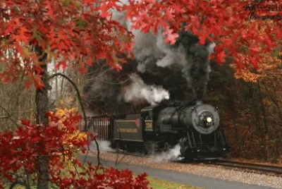 imagen hermosa de otoÃ±o