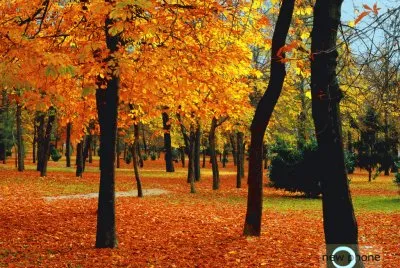 otoÃ±o