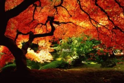 paisaje bonito