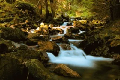 paisaje maderas de otoÃ±o