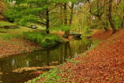 rio de agua cristalina