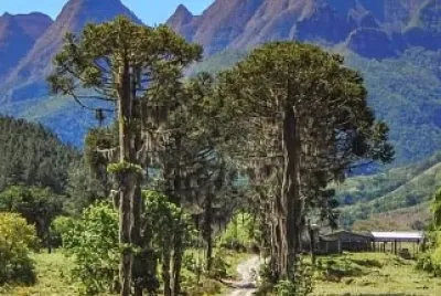 estrada