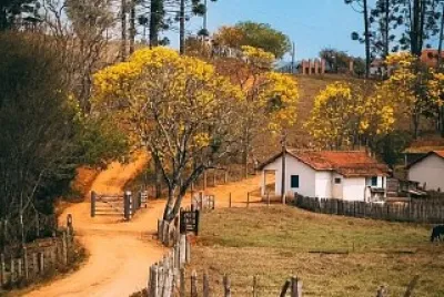 pó ou barro
