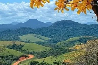 estrada
