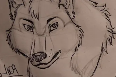 Lobo anime
