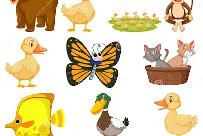 animales