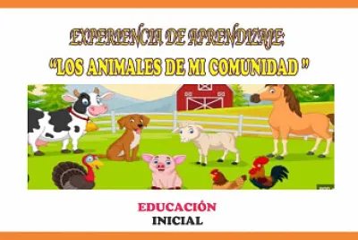 animales domesticos