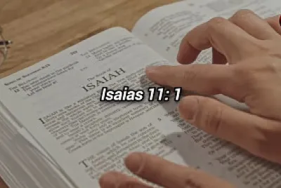 Isaias jigsaw puzzle