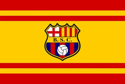 BSC Flag jigsaw puzzle