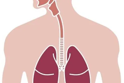 respiratorio