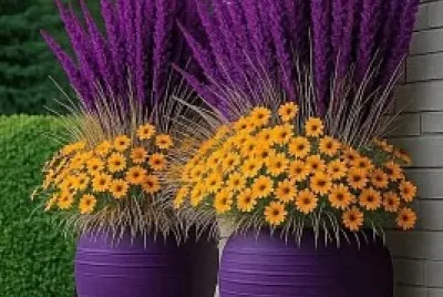 flores