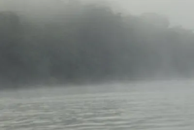 imagens