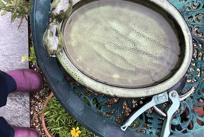 Birdbath on garden table jigsaw puzzle