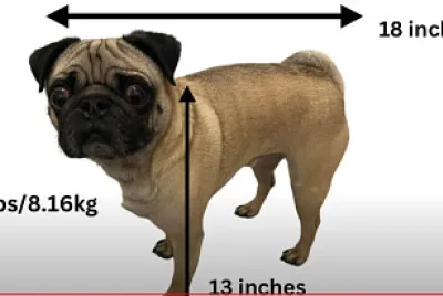 r 87itytyi jigsaw puzzle