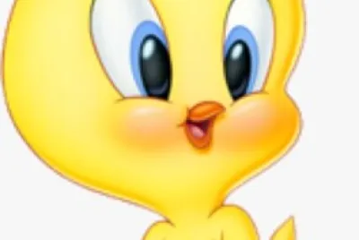 PIU PIU BEBE