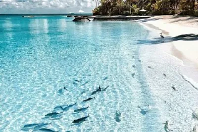 Ilha azul jigsaw puzzle