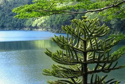 paisajes