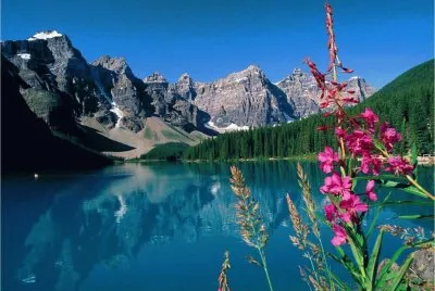 PAISAJE