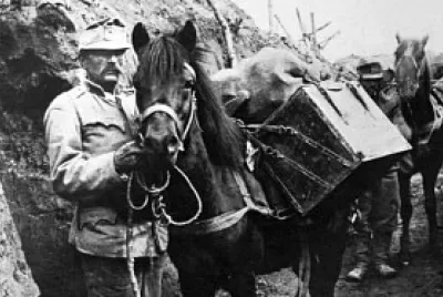 Caballos en la guerra.