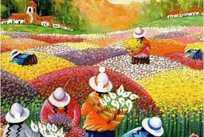 Pérou récolte de fleurs