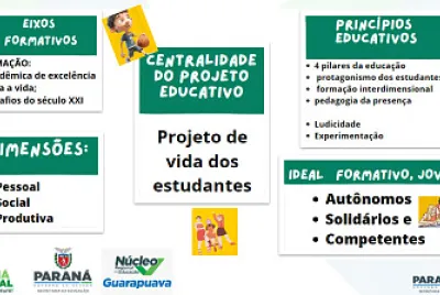 Proposta PPI