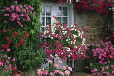 Entrada con flores