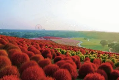 japan