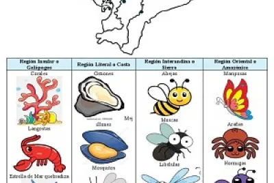 פאזל של animales invertebrados